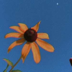 Meet your Posher, Chloe